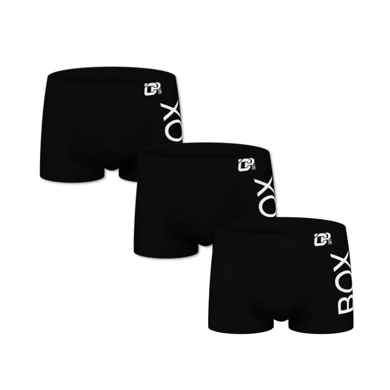Boxer