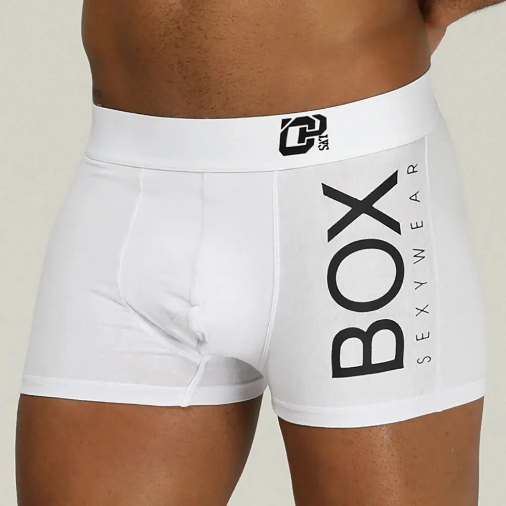 Boxer