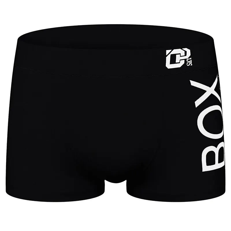 Boxer
