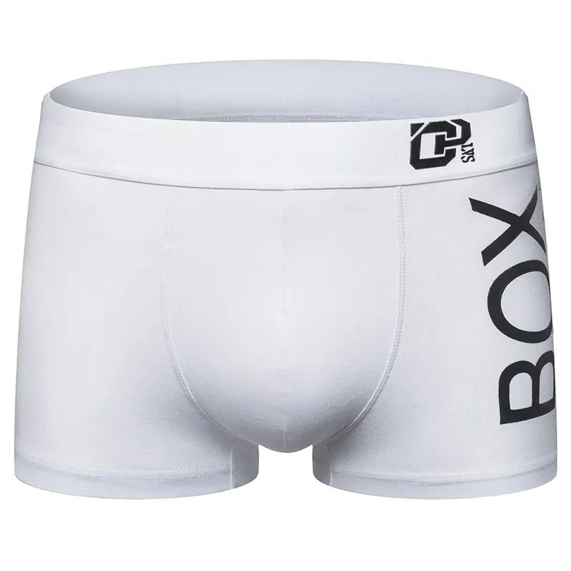 Boxer