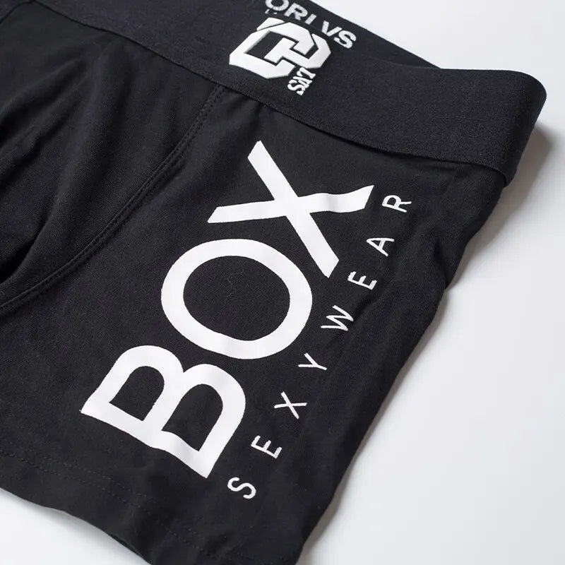 Boxer
