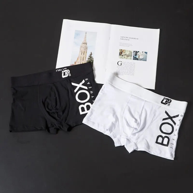Boxer