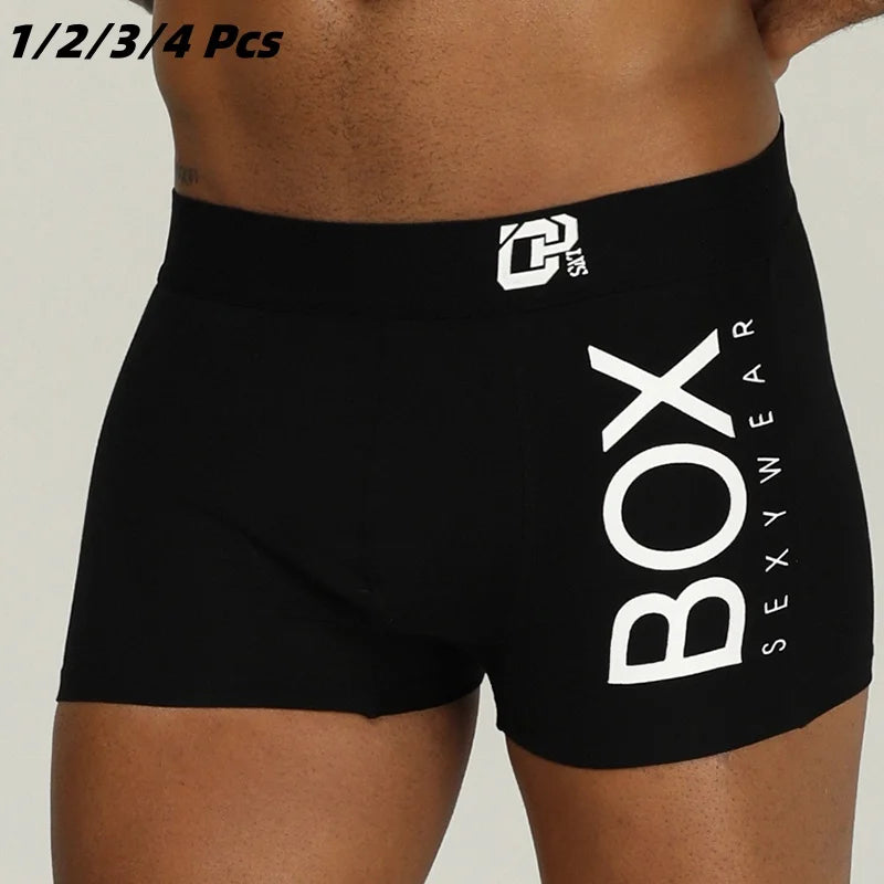 Boxer