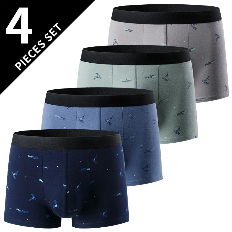 Boxer estampada