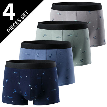Boxer estampada