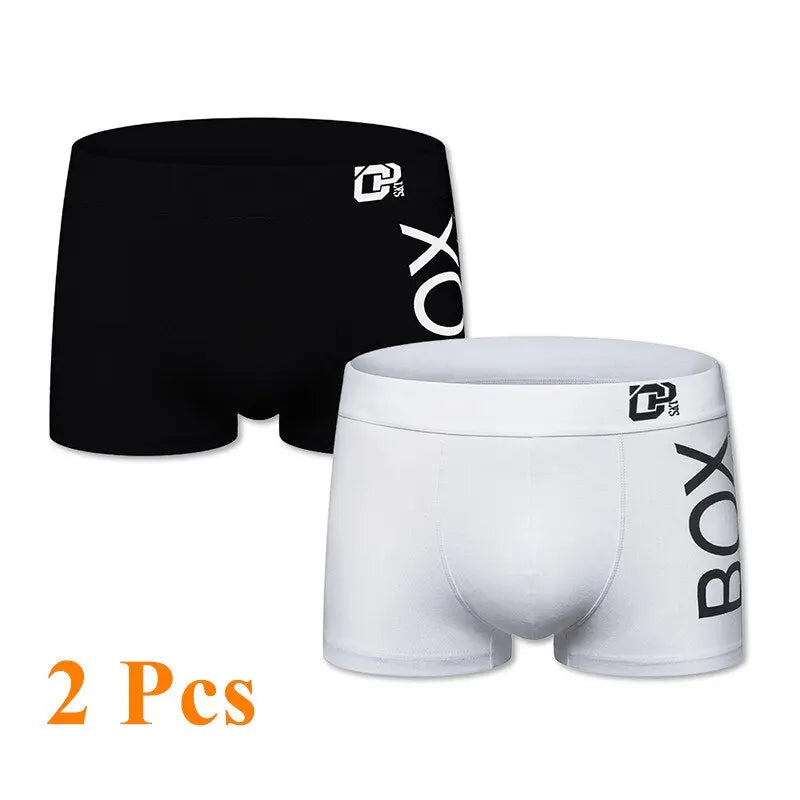 Boxer
