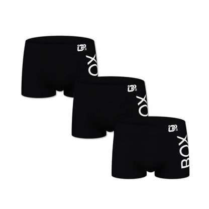 Boxer