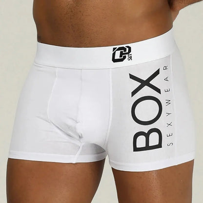 Boxer