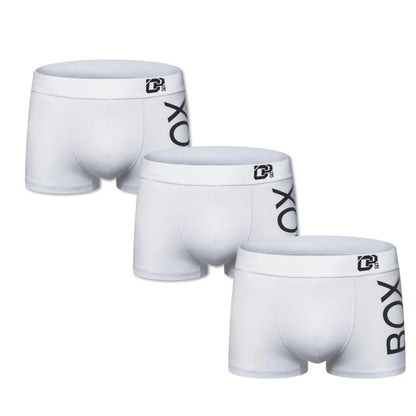 Boxer