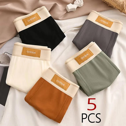Conjunto de 5 boxers em puro algodão