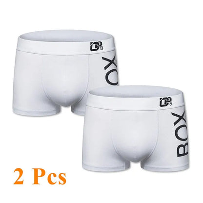 Boxer